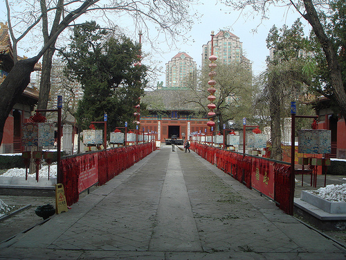 nhap Beijing Dongyue Temple Yabao lu 北京民俗博物馆 雅宝路 photo4