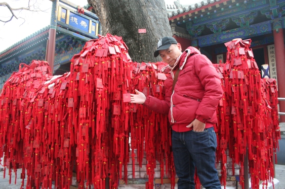 SondAuto Beijing Dongyue Temple Yabao lu 北京民俗博物馆 雅宝路 IMG_8059